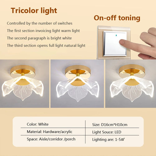 Modern acrylic LED ceiling light for decorative interiors - vue 14 sur 18