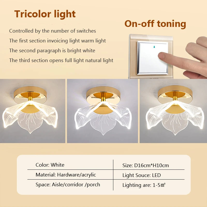 Modern acrylic LED ceiling light for decorative interiors - vue 13 sur 18