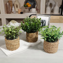 artificial plants decorative eucalyptus flowers in pot 17 cm