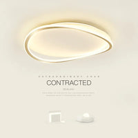 Modern LED chandelier for interior decoration