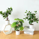 Artificial potted bamboo and monstera plant for home and office decor