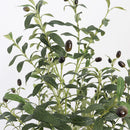 Realistic Artificial Olive Tree, Lifelike Faux Olive Plant for Home, Office, Garden Decor