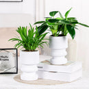 Hydroponic flower pot with automatic watering garden decoration