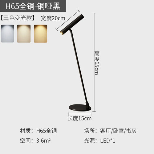 Nordic minimalist adjustable LED floor lamp for indoor use - vue 11 sur 14