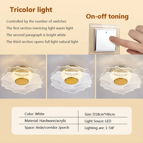 Modern acrylic LED ceiling light for decorative interiors - vue 13 sur 18