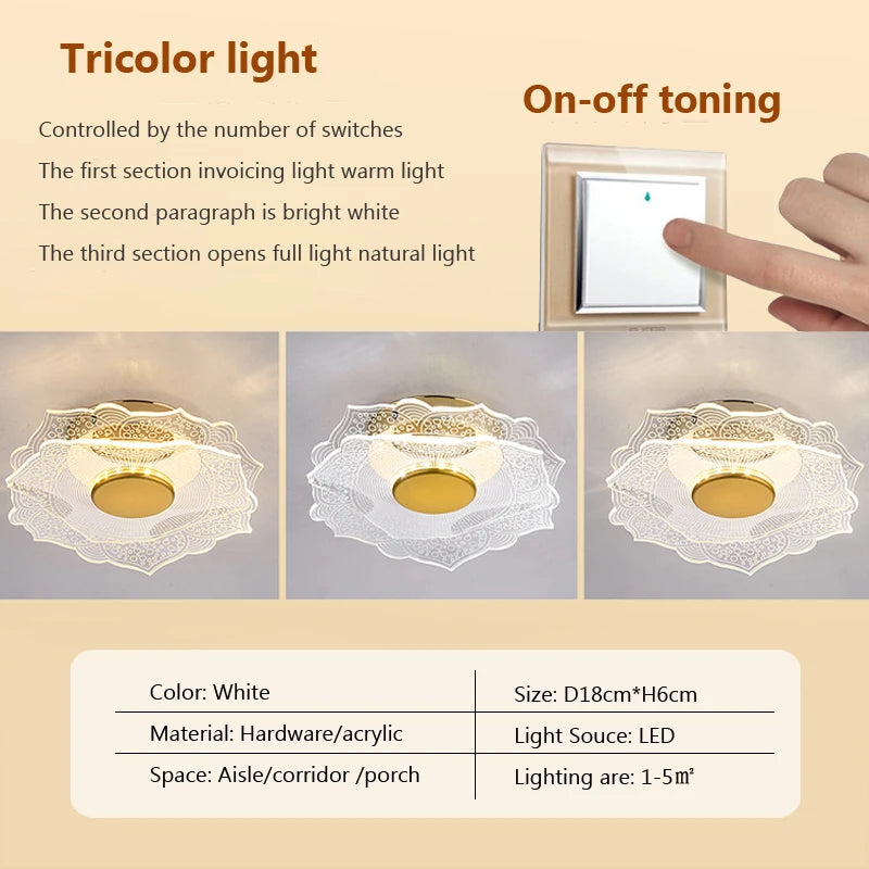 Modern acrylic LED ceiling light for decorative interiors - vue 12 sur 18