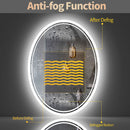 Oval illuminated mirror with anti-fog function and adjustable lighting