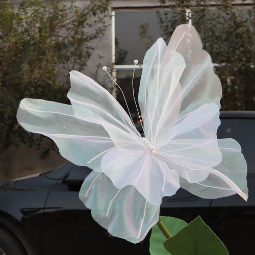 mesh butterfly background for wedding and party - vue 5 sur 10
