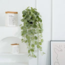 Artificial hanging plants begonia and silk fern vines