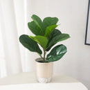 Artificial ficus plant in plastic for indoor and outdoor decoration