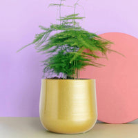 creative flower pot metal desk accessories