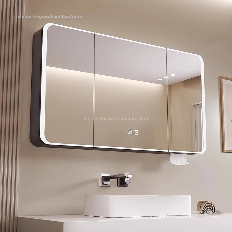smart wardrobe with illuminated storage and separate toilet