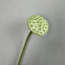 Artificial lotus plant real touch floral decoration for interiors