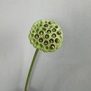 Artificial lotus plant real touch floral decoration for interiors
