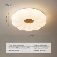 Nordic solid wood ceiling light with acrylic shade for living room, bedroom, hotel or restaurant