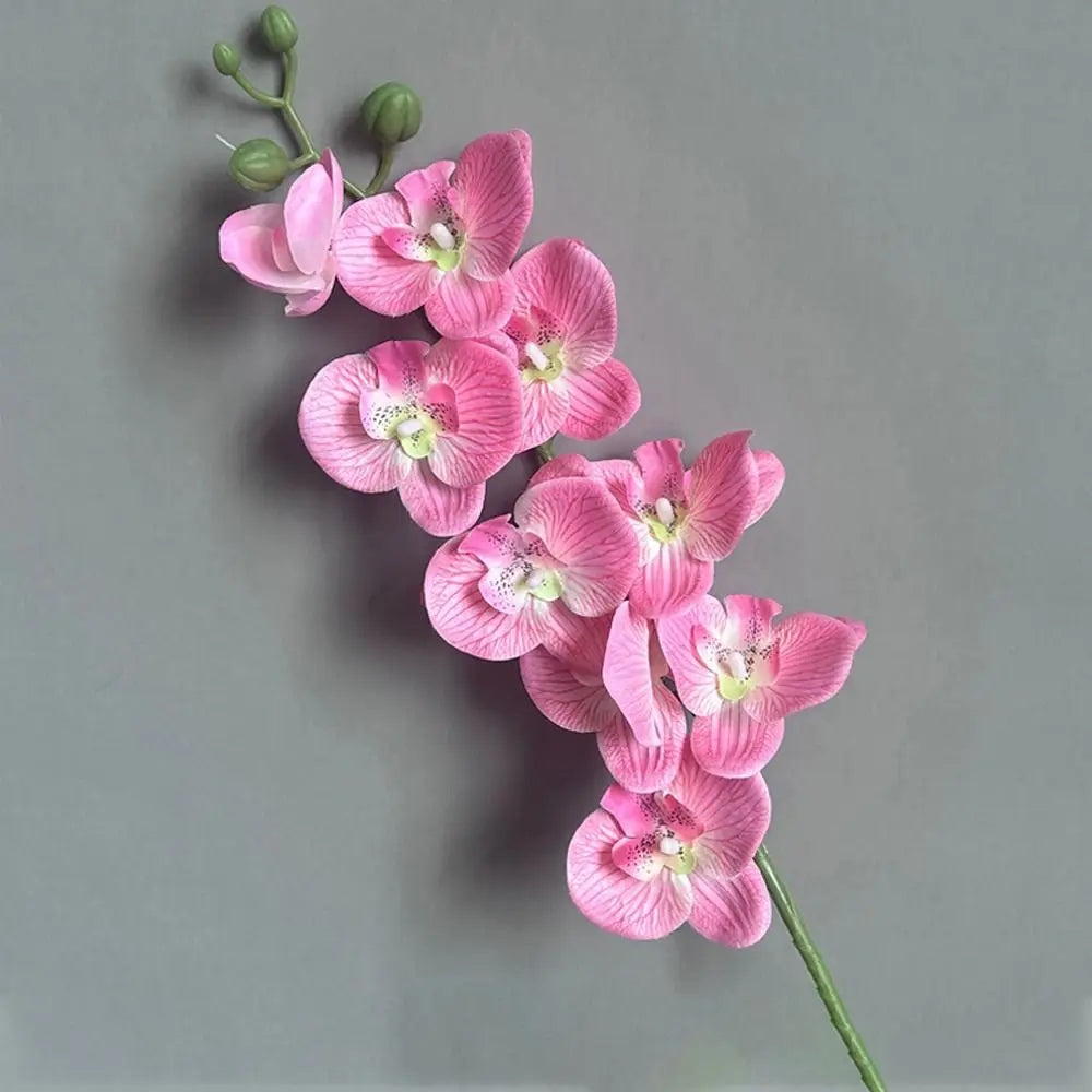 Phalaenopsis artificial plants 3d real touch decorative orchid - vue 4 sur 10