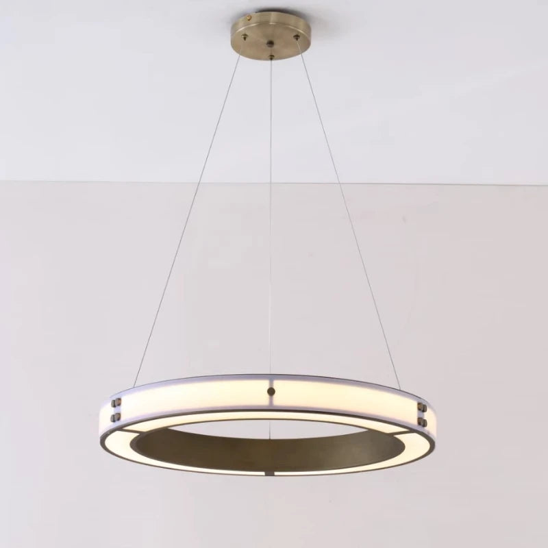 Modern iron pendant light for elegant interior decor - vue 5 sur 7