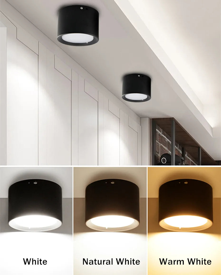 Mini LED dimmable wood grain surface mounted ceiling downlight, home, bedroom, decorative spotlight for living room 220V 110V - vue 4 sur 11