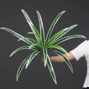 Large artificial orchid leaves plant for interior decoration