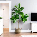 Artificial ficus branches with large banyan leaves for garden decoration