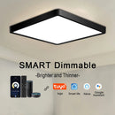 Tuya smart LED ceiling light with app and voice control, Alexa and Google compatible, remote control for living room and bedroom