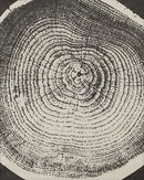 Abstract tree ring canvas art modern decor