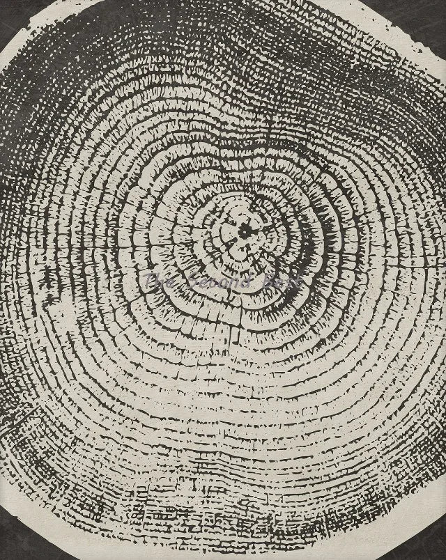 Abstract tree ring canvas art modern decor