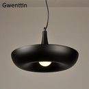 Diy plant pendant light for modern interior decor
