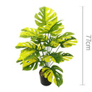 Artificial plants with large decorative leaves for indoors and offices