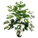 Artificial plants with large decorative leaves for indoors and offices