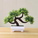 Decorative artificial bonsai plants for weddings and Halloween