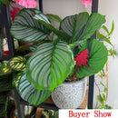 Artificial monstera plant for wall and garden decor