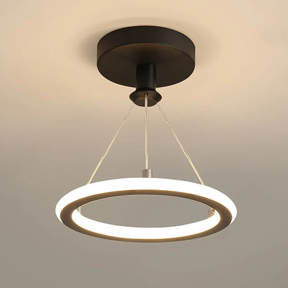 Creative modern pendant light for restaurants and bars