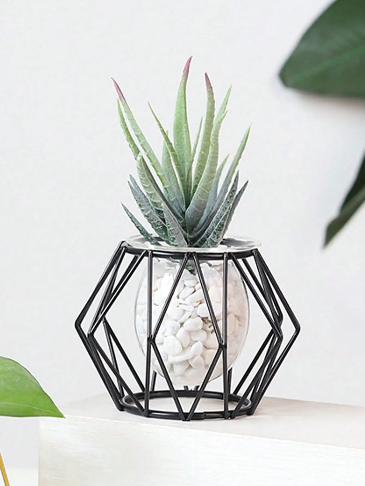 transparent flower arrangement for interior decoration with water plants