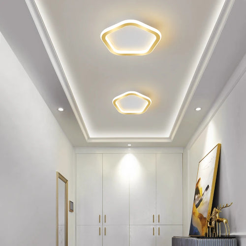 Modern outdoor ceiling light with simple and elegant design
