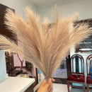 Set of artificial pampas grass bouquets for indoor decoration