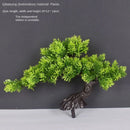Artificial bonsai plant in plastic for interior decoration