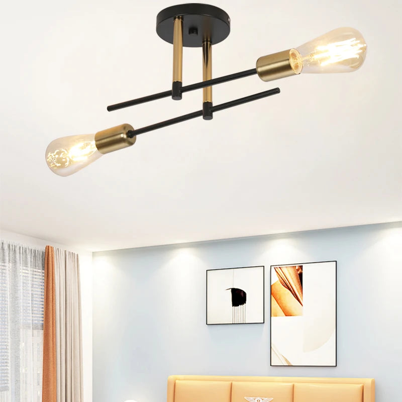 Modern iron ceiling light with two decorative lights for interior