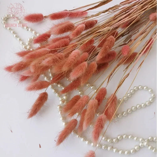Dried bunny tail grass bouquet for festive decorations - vue 4 sur 23