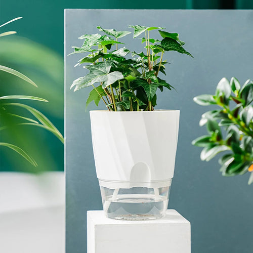 automatic flower pot for hydroponic indoor plants - vue 5 sur 6