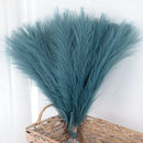 Set of artificial pampas grass bouquets for indoor decoration