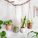 handmade macrame hanging plant holder made of natural cotton