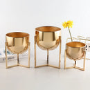 decorative vase for floral arrangements and living rooms