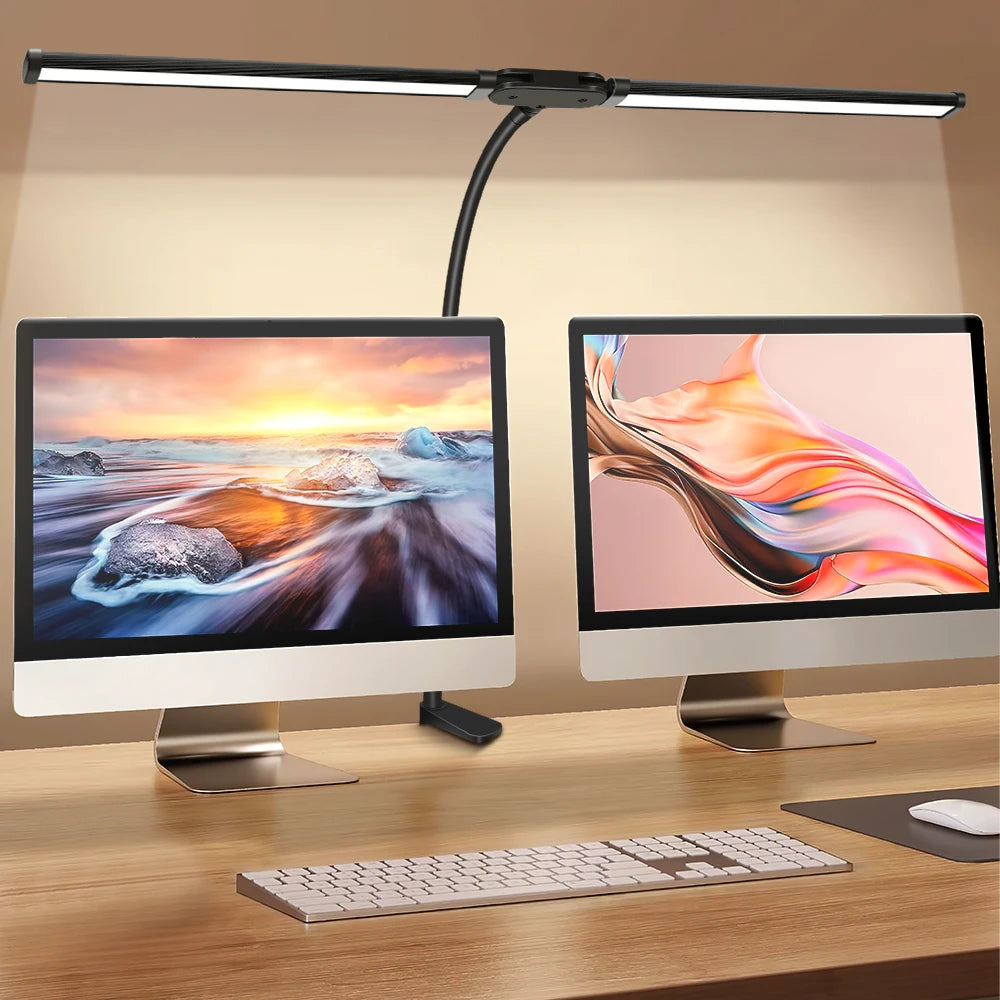 Double head LED desk lamp