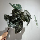 Set of 2 decorative artificial green plants in plastic