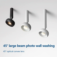 projecteur led rotatif réglable pour entrée allée décor spot