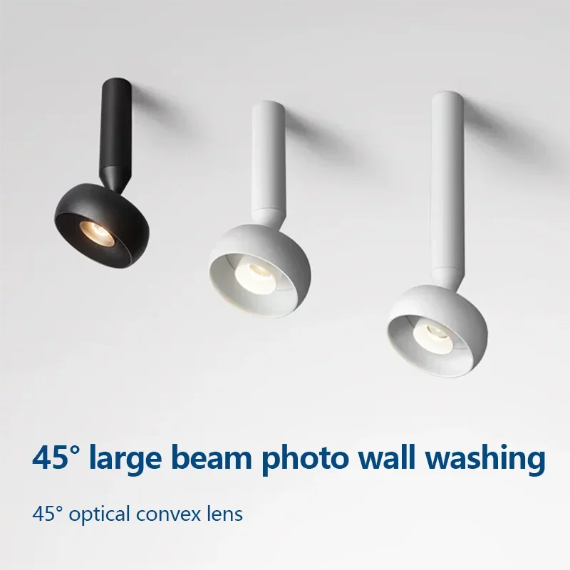 Adjustable rotating LED spotlight for entrance, hallway and decor