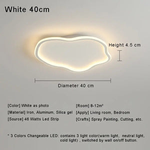 Modern LED ceiling light for decorative indoor lighting