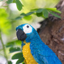 Parrot wall light