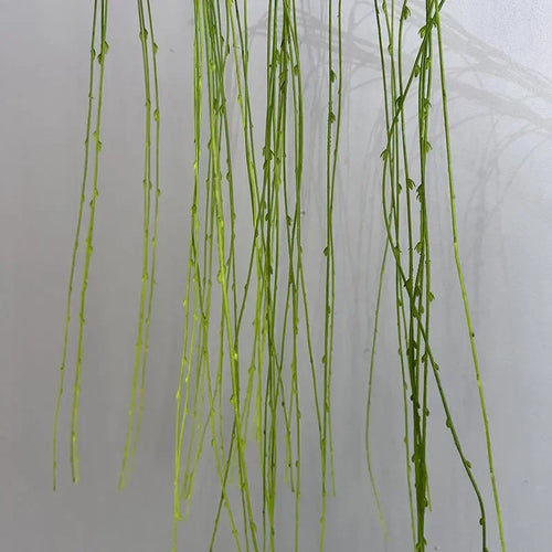Artificial weeping willow plastic plant for indoor decoration - vue 7 sur 7